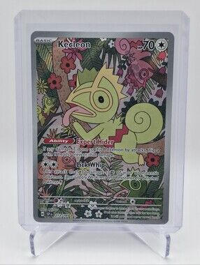 Pokémon TCG - Kecleon - Surging Sparks - Illustration Rare - 213/191